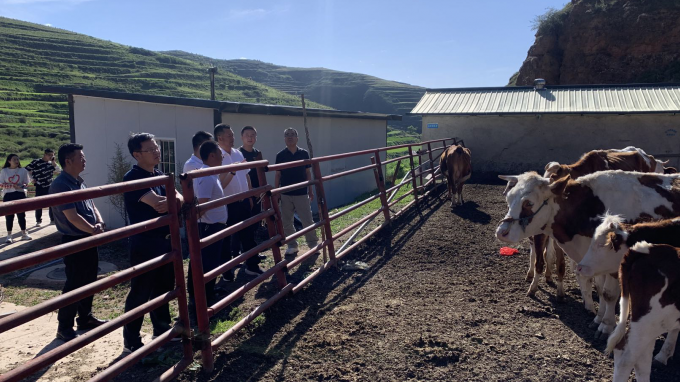 甘肅工程咨詢集團黨委書記、董事長宋忠慶一行赴卓尼縣柳林鎮(zhèn)幫扶村調(diào)研慰問